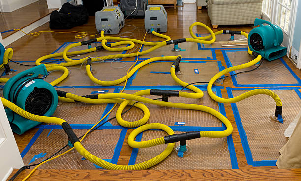 Professional Water Damage Restoration technician working in Winton, MN